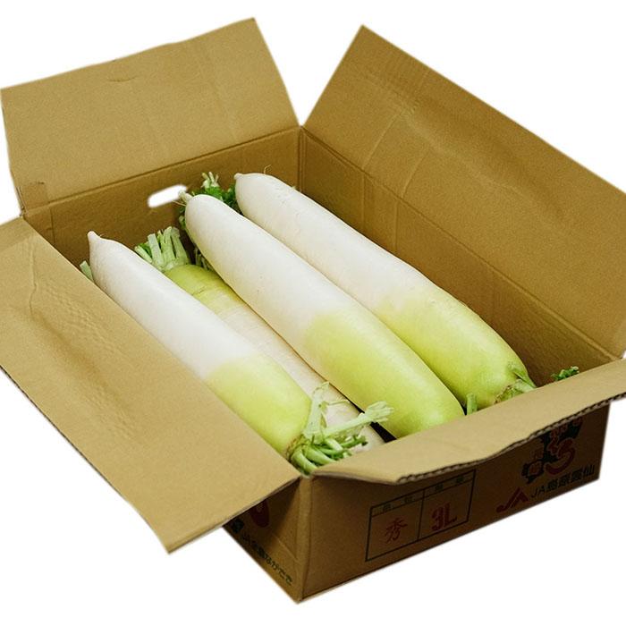 長崎県産他 大根 （だいこん） 2L〜3Lサイズ 7〜8本入り 約10kg （箱