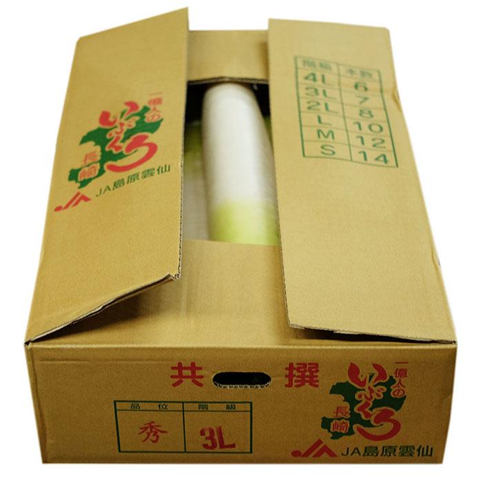 長崎県産他 大根 （だいこん） 2L〜3Lサイズ 7〜8本入り 約10kg （箱