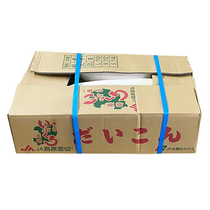 長崎県産他 大根 （だいこん） 2L〜3Lサイズ 7〜8本入り 約10kg （箱