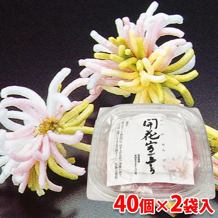 お花ご確認用　チロちゃん専用 北村製麺所 開花宣言 五色 80個入りパック （40個入り×2袋） 約70g