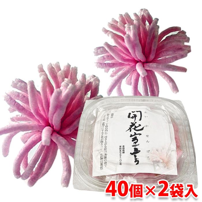 北村製麺所 開花宣言 赤 80個入りパック （40個入り×2袋） 約70g