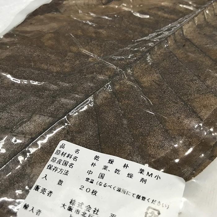 平八 乾燥朴葉 ほおば M 小 枚入り 6111 生鮮卸売市場 通販 Yahoo ショッピング