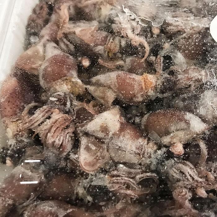 釜あげほたるいか 500g 生鮮卸売市場 通販 Yahoo ショッピング