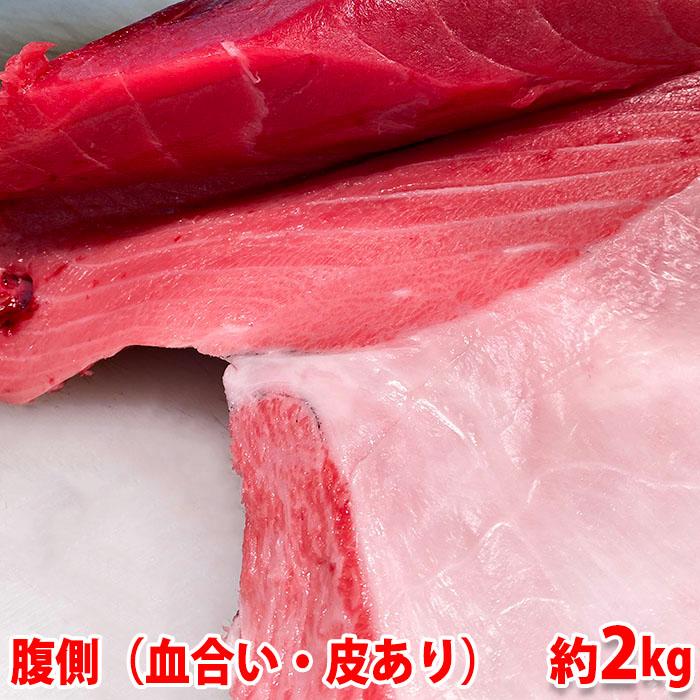 生・本マグロ 大トロ・中トロ・赤身ブロック 約2kg 国産・養殖