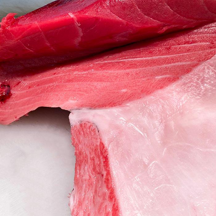 生・本マグロ 大トロ・中トロ・赤身ブロック 約2kg 国産・養殖