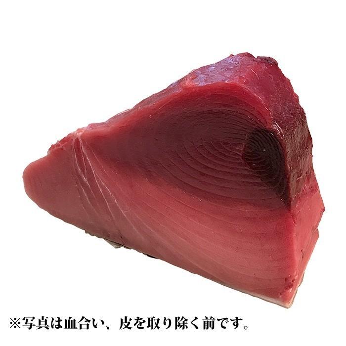 生・本マグロ 中トロ・赤身ブロック 約1kg 国産・養殖 （血合い・皮