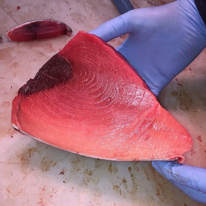 生・本マグロ 中トロ・赤身ブロック 約1.5kg 国産・養殖 （血合い・皮