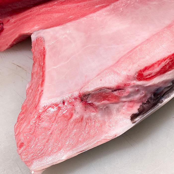 生・本マグロ 大トロ・中トロ・赤身ブロック 約500g 国産・養殖