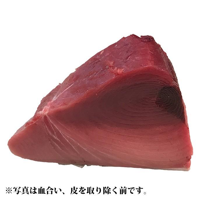 生・本マグロ 中トロ・赤身ブロック 約1kg 国産・養殖 （血合い・皮