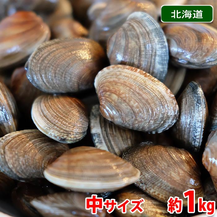 北海道産 （活） あさり 中サイズ 約1kg : 生鮮卸売市場 - 通販