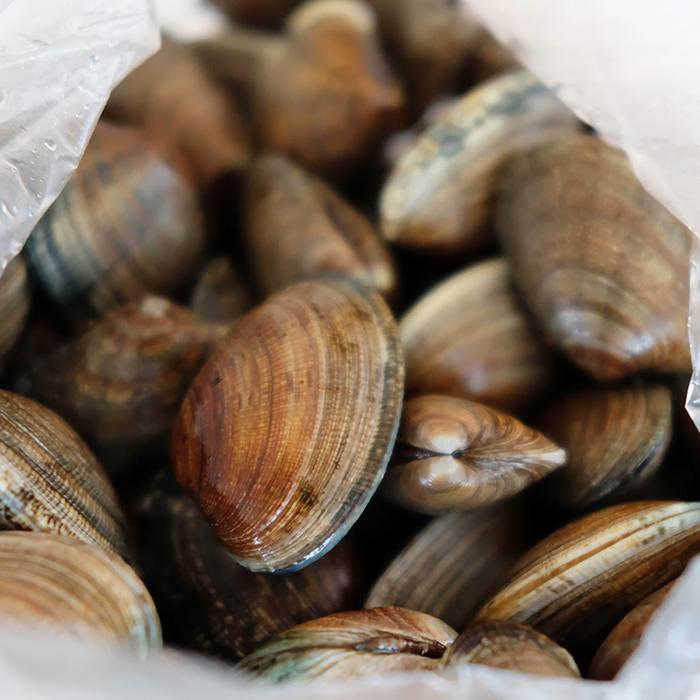 北海道産 （活） あさり 中サイズ 約1kg : 生鮮卸売市場 - 通販