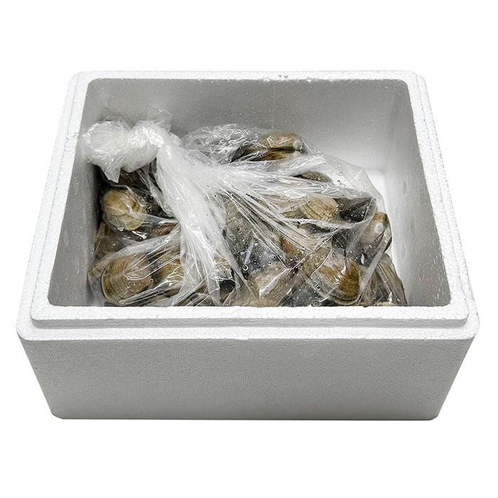 北海道産 （活） あさり 中サイズ 約1kg : 生鮮卸売市場 - 通販