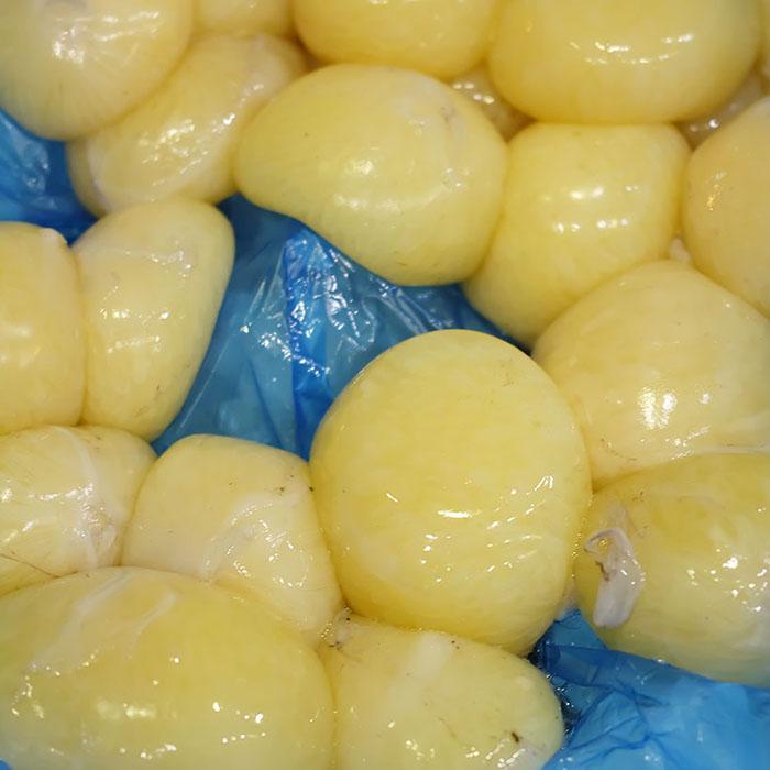 北海道産 水ダコ （水蛸／水だこ） 卵 約1kg（1個あたり約200〜350g