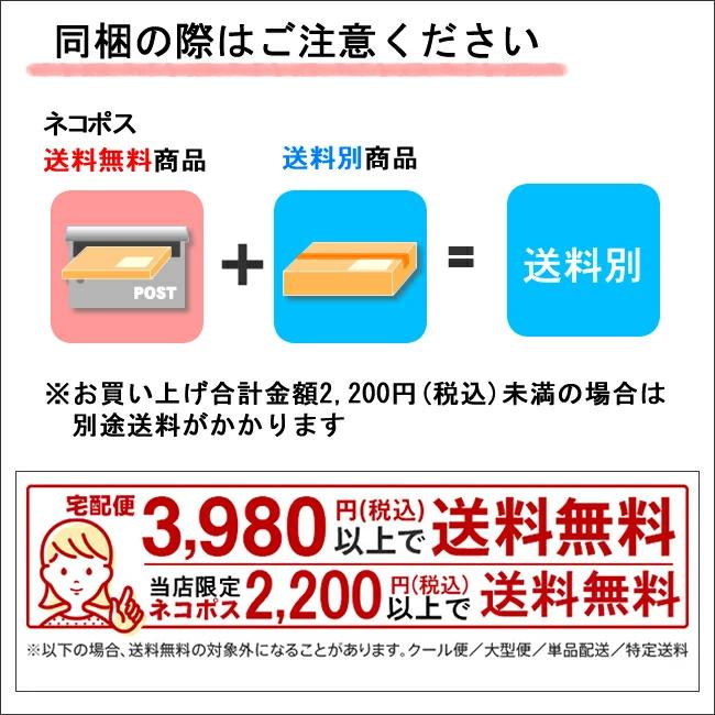 コンパクト便送料無料 角型キーホルダー 金属 40×29mm 卓球コート柄 小型宅配便送料無料｜promoshop｜03