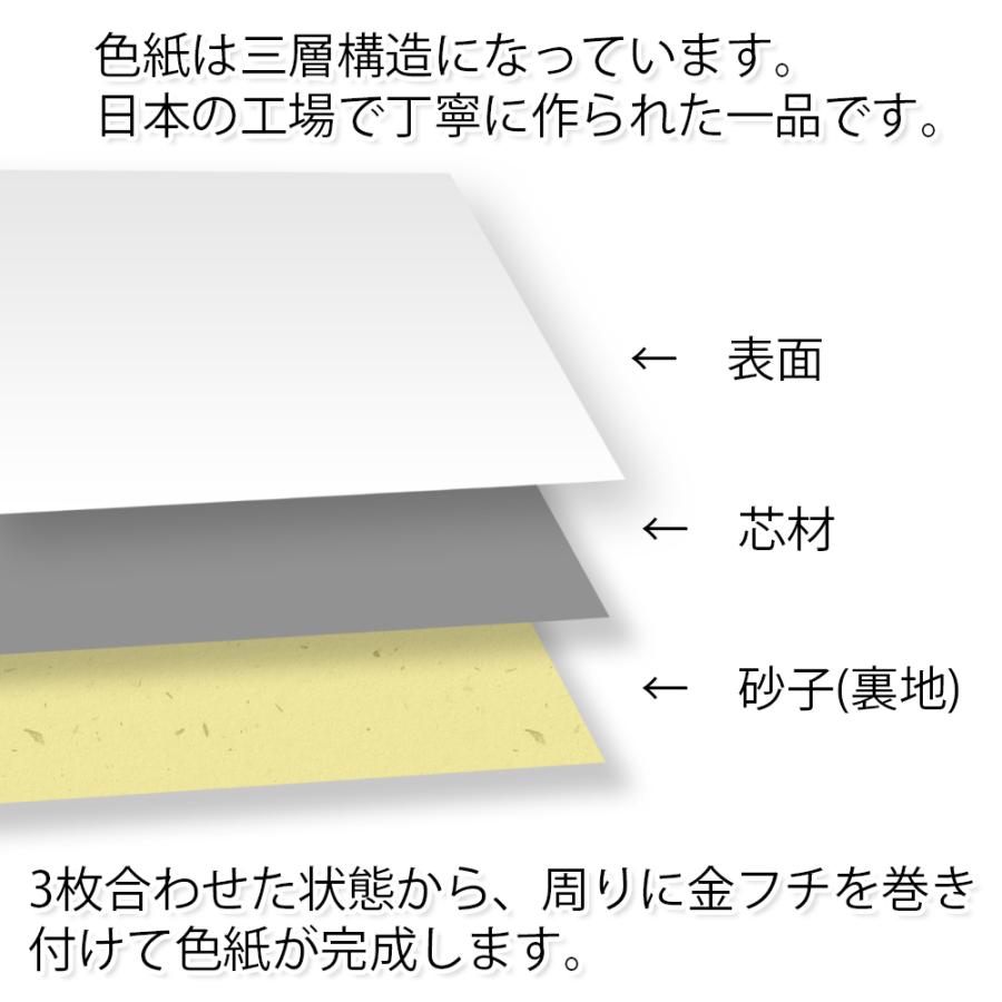 色紙 白 無地 日本製 寄せ書き用 普通サイズ 242×272mm 卒業 卒団 引退 退職 お礼 上司 先輩 コーチ 監督 記念品 ギフト プレゼント｜promoshop｜05