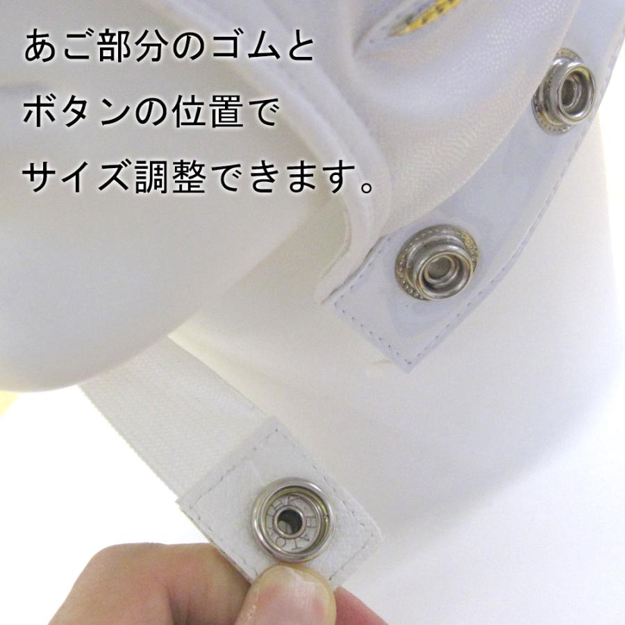 好評受付中日の丸プロレスマスク 2種 日本代表応援グッズ バレー 野球 世界大会 サッカー ラグビー 変装用マスク 
