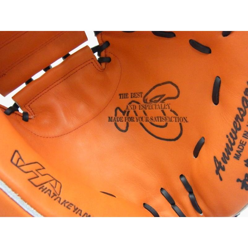 限定商品】 HATAKEYAMA(ハタケヤマ) 一般硬式キャッチャーミット 30