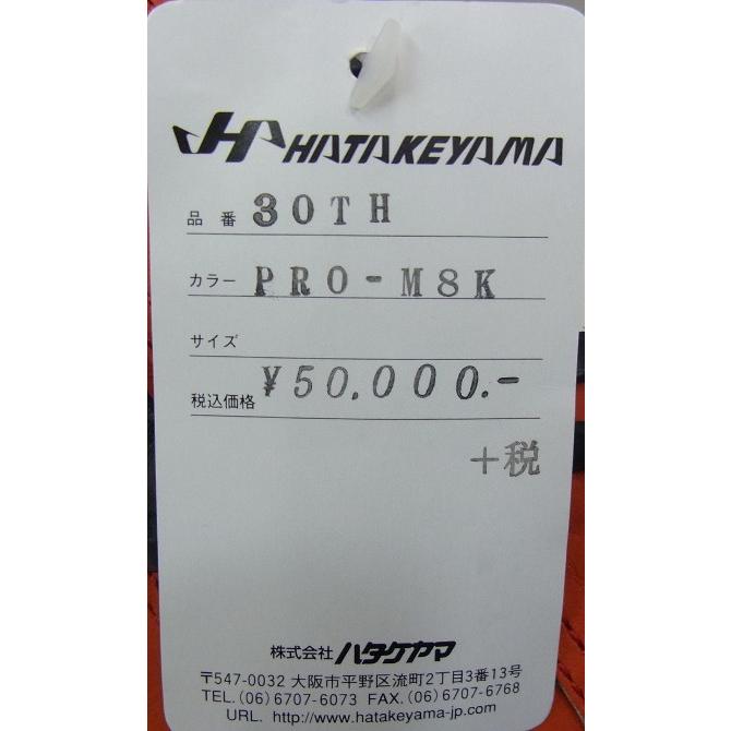 限定商品】 HATAKEYAMA(ハタケヤマ) 一般硬式キャッチャーミット 30