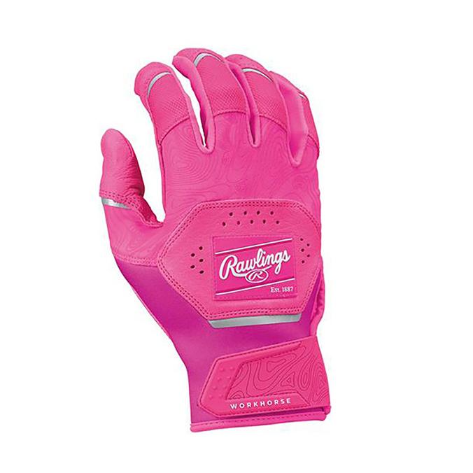 Rawlings（ローリングス） WORK HORSE（両手用） （PK） WH25BG [野球