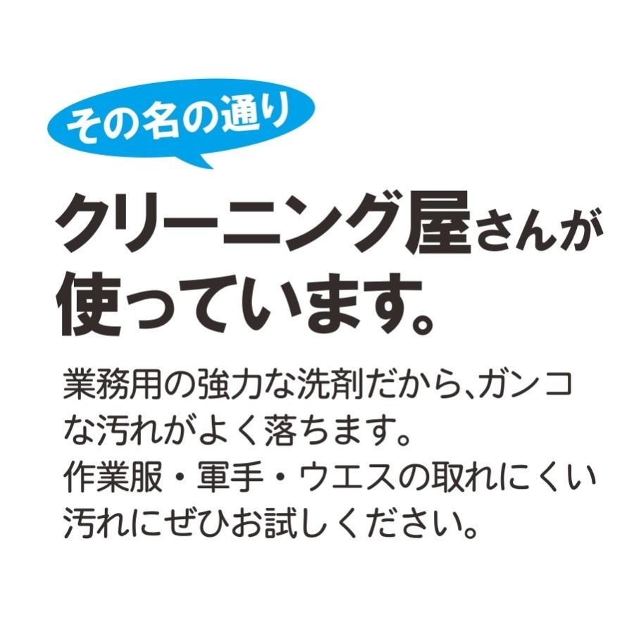 頑固な油汚れもスッキリ！クリーニング屋さんの洗濯洗剤　1.0kg/9620-999/【2019 WEX 年間 その他】｜prono-webstore｜03