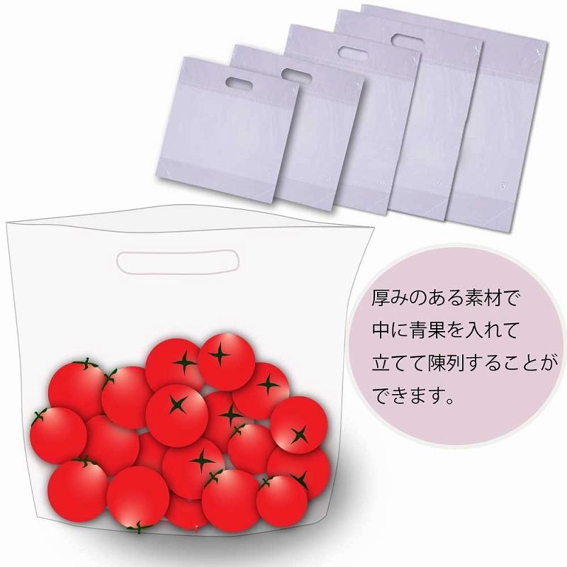 HEIKO（ヘイコー） スタンド パック 100枚 持ち手 穴 ポリ袋 #40 20-22