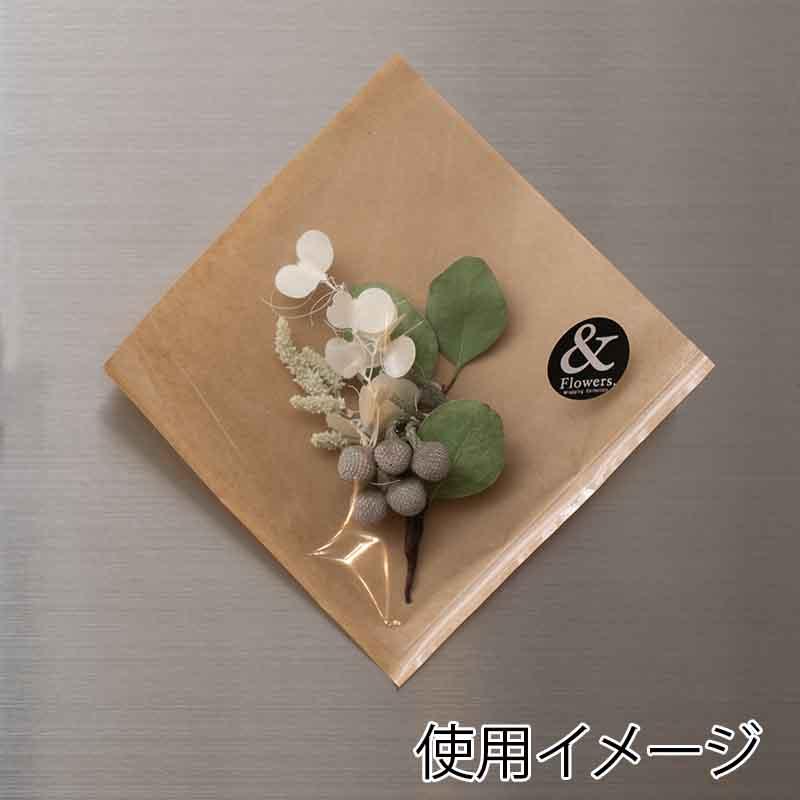 HEIKO（ヘイコー） 片面透明バーガー袋 15−15 未晒無地 100枚