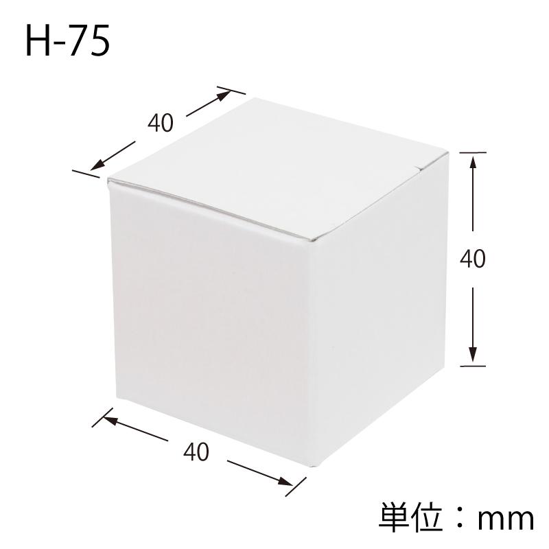 HEIKO（ヘイコー） ギフト ボックス 10枚 白無地箱 H-75 サック式