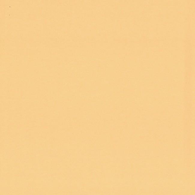 Bt402 バイオトップカラー 160g ゴールド 50枚 シモジマ Paypayモール店 通販 Paypayモール