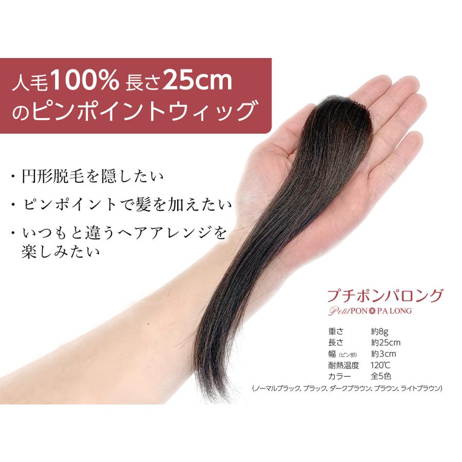 部分 ウィッグ 人毛 100% 自然 医療用 円形脱毛症 隠す 総手植え