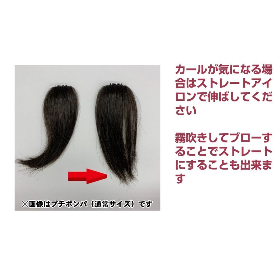 ウィッグ 自然 メンズ レディース 医療用 円形脱毛症 部分 かつら 人毛100 ロング 総手植え ポイントウィッグ プチポンパ ロング Petit Pon Pa Long Rgit プロピア Yahoo 店 通販 Yahoo ショッピング
