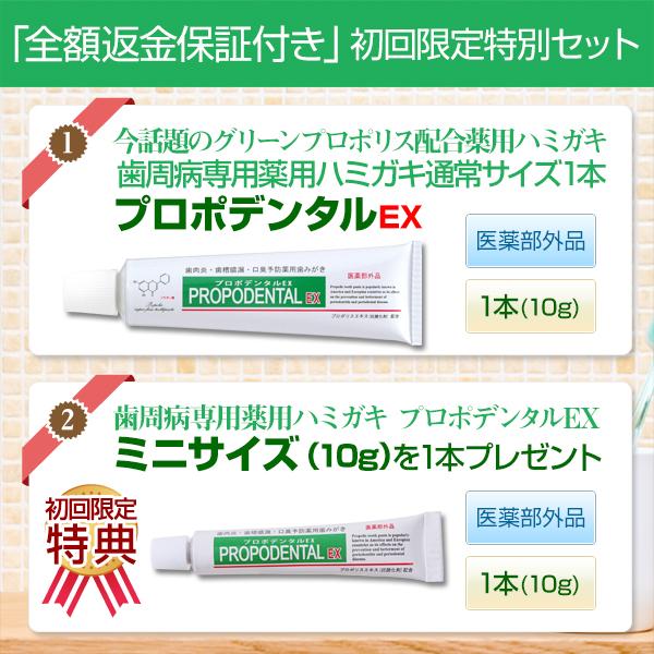 歯周病 プロポリス歯磨き粉 口臭 歯槽膿漏 高濃度 『初回限定 お試しセット プロポデンタル EX』(EXミニ、歯科医院専用歯ブラシプレゼント)｜propodental1｜02