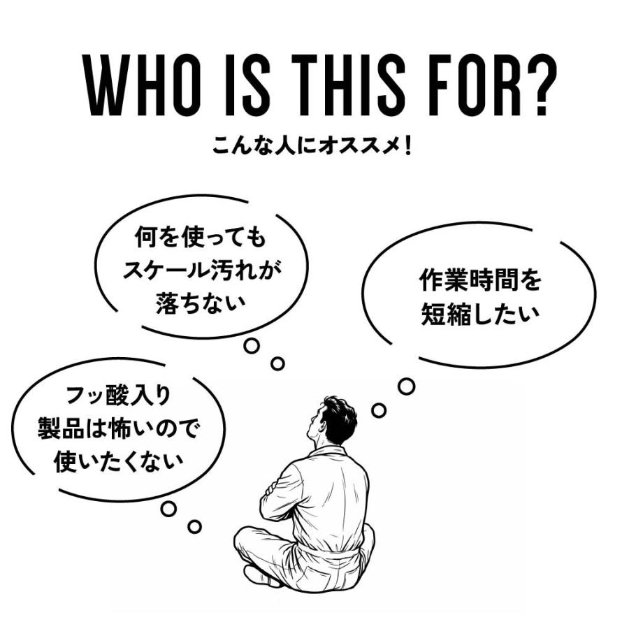 【FunCruise ZXZ （ゼッツ）2000】 洗浄剤 詰め替え用 スケール除去 ボディ ガラス 強力 カー用品 車用品 カーメンテナンス BULLET |  | 02