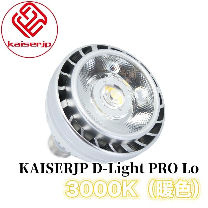 KAISERJP D-Light（光色：オレンジ）】ディテイリングライト ワーク
