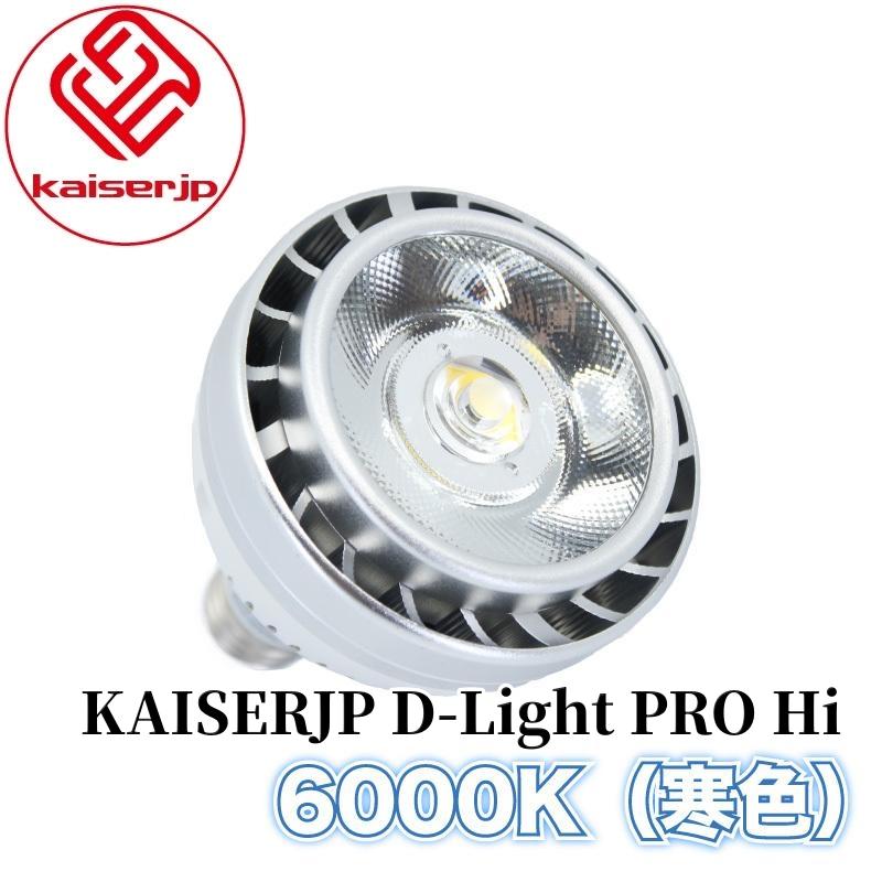 KAISERJP D-Light（光色：ホワイト）】 LED ライト 傷 キズ ツール 車 