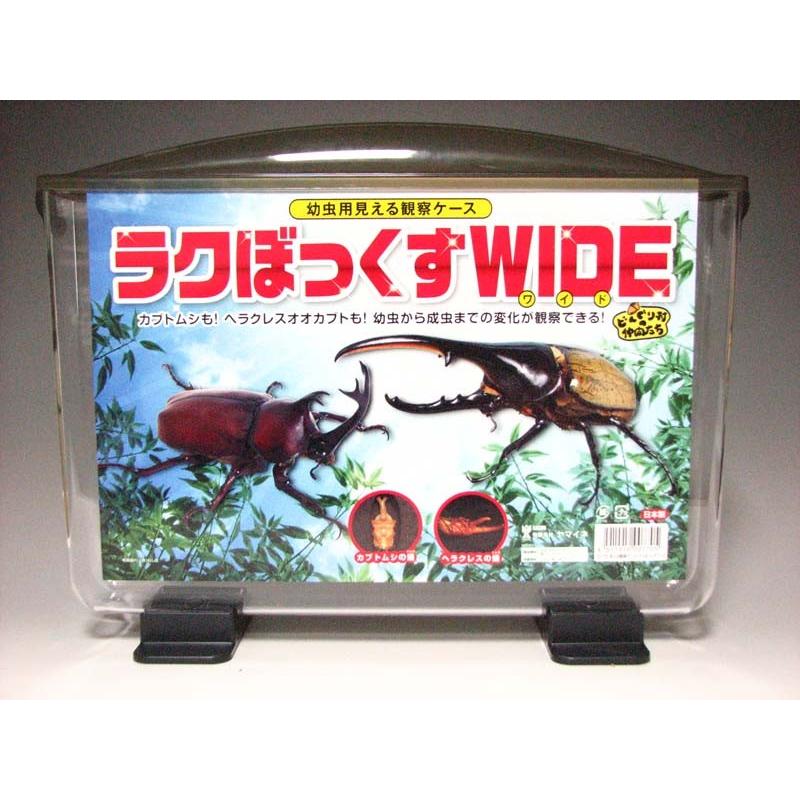 見える観察ケース ラクぼっくす カブトムシ用品通販
