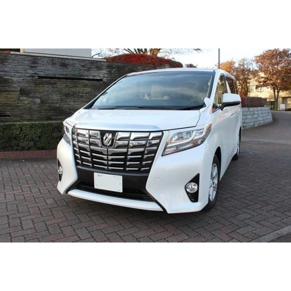 アルファード 30 系 アイライン 塗装済 : プロショップ パワーズ