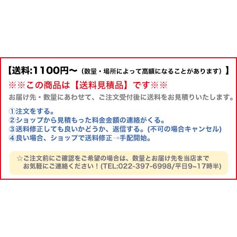 送料見積品 法人のみ エクセン EXEN (/AO) ロールスイーパー 本体 大容量ダストケース 移動用キャスター サイドブラシ別売 ES-2RB_7