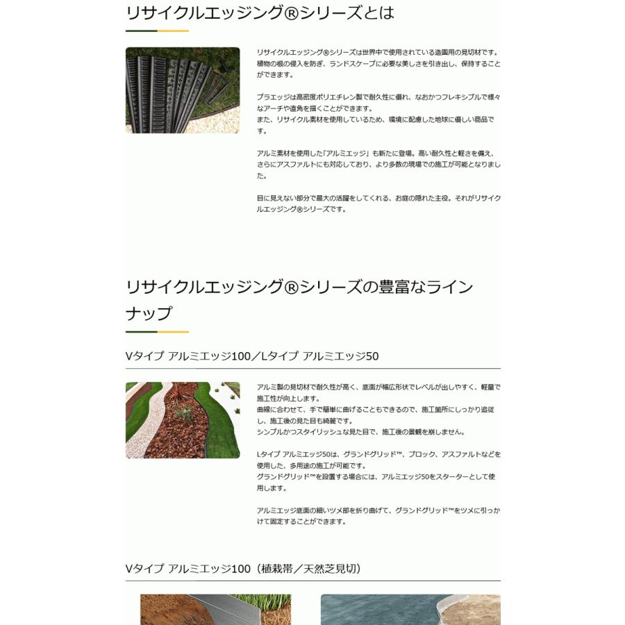 グリーンフィールド(/I) リアリーターフ 専用ピン150mm (黒色 600本入