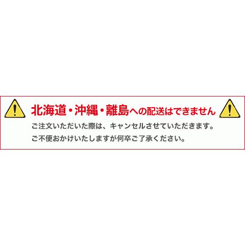 欠品7月以降 送料見積品 法人のみ ハスクバーナ(/A) 大型チェンソー 353 18RTの画像