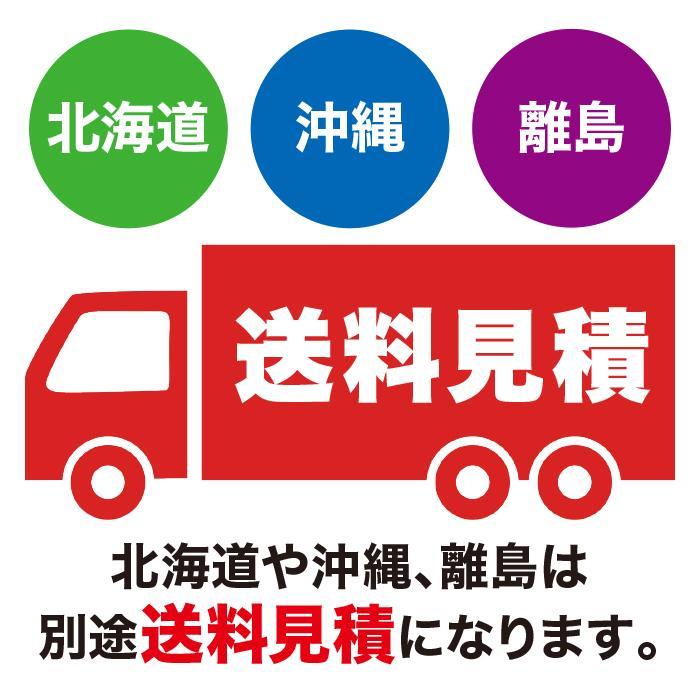 法人のみ NBCエンジニア (/AL) クールキャノンエコ・スリム 冷風扇