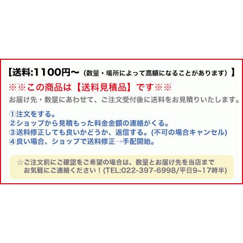 昭和電機(/AL) ウインドレーサー WR-100N 大型サーキュレーター 送風機 工場の冷房、暖房効率化に 法人のみ 送料見積｜proshopdate15｜06