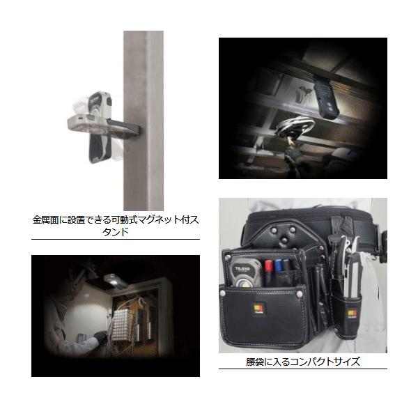 Tajima（タジマ） LEDワークライト R061 LE-R061 (/D) : ProShop伊達