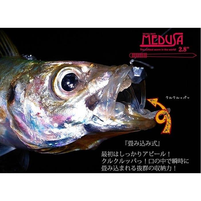 サーティーフォー（34 THIRTY FOUR） MEDUSA メデューサ 2.8インチ