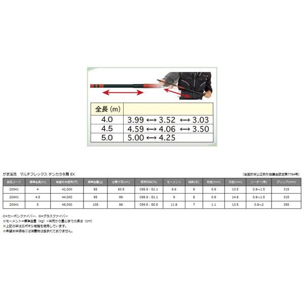 Gamakatsu（がまかつ） がま渓流 マルチフレックス テンカラ水舞EX 4.5