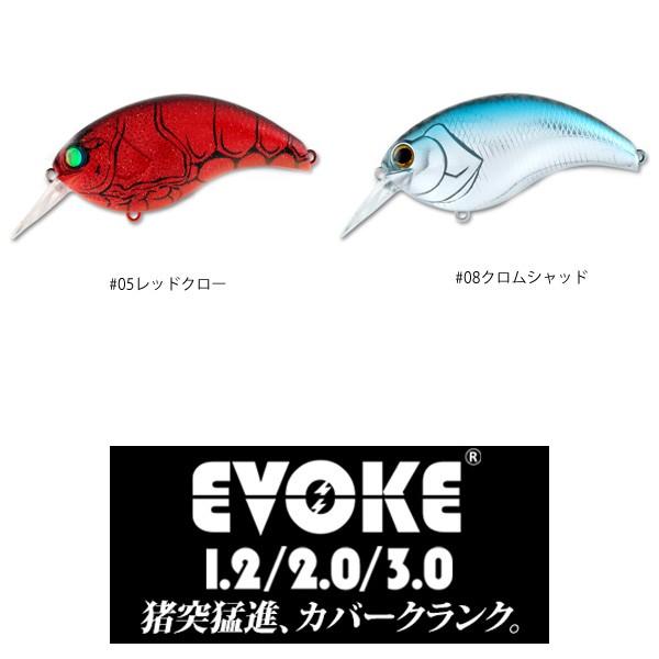 デプス EVOKE 3.0 (イヴォーク 3.0) 【メール便NG】 : プロ