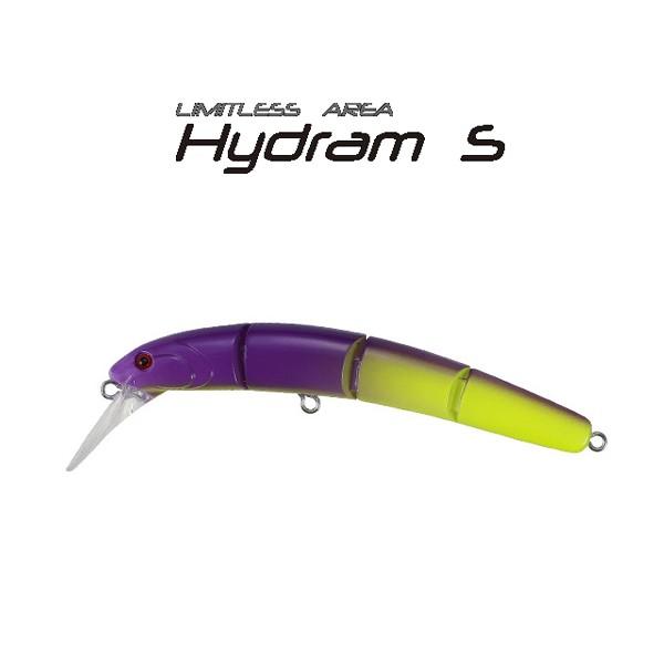 ヴァルケイン Hydram S (ハイドラム シンキング) 追加カラー #C123 ポイズンクロスII 【メール便OK