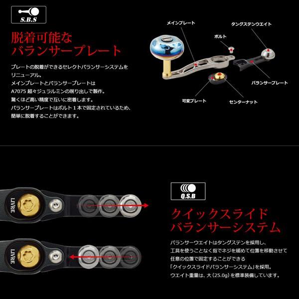 メガテック リブレ SB 65-70 ダイワB1 左右共通 【送料無料】【お取り寄せ対応商品】の画像