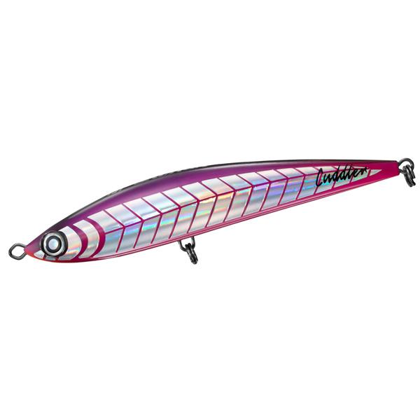 DAIWA（ダイワ） ソルティガ カドラー200F 200mm 90g フローティング