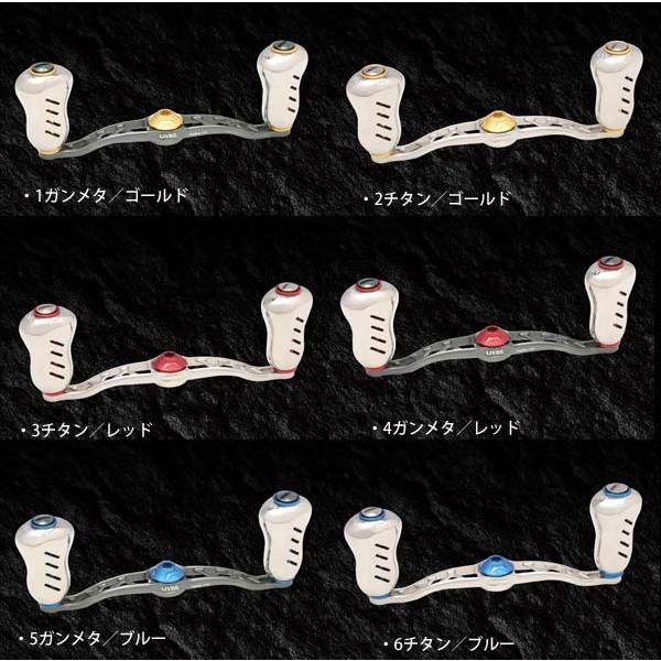 LIVRE クランクフェザー 110 ダイワB1用ガンメタP+レッドG