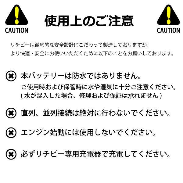 感謝価格！ リチビー(Lithi-B) リチウムバッテリー 24V80Ah LiFePO4 (リン酸鉄リチウムイオンバッテリー) 【送料無料】【5000台突破】｜proshopks｜08